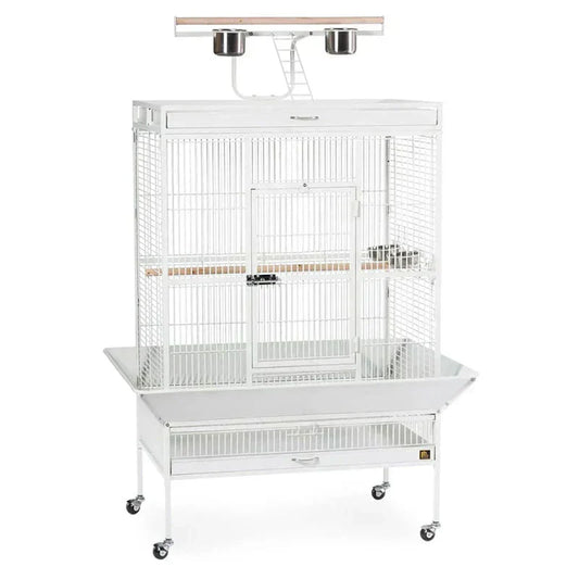 Wrought Iron Select Bird Cage 3154C, Chalk White, 36-Inch by 24-Inch by 66-Inch